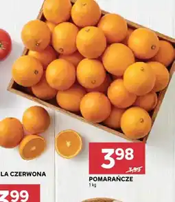 Stokrotka Pomarańcze oferta