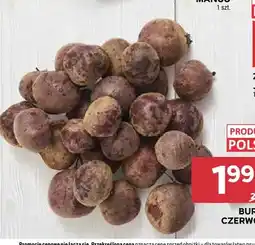 Stokrotka Buraki czerwone oferta