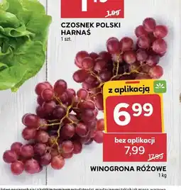 Stokrotka Winogrona różowe oferta