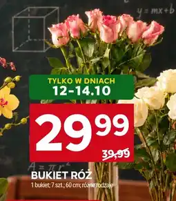 Stokrotka Bukiet róż 7 szt. 60 cm oferta