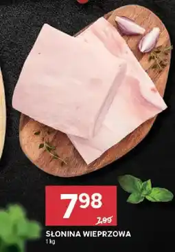 Stokrotka Słonina wieprzowa oferta