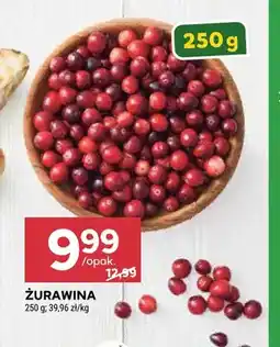 Stokrotka Żurawina oferta