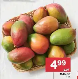 Stokrotka Mango oferta