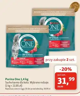 Maxi Zoo Sucha karma dla kota Purina One oferta