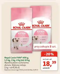 Maxi Zoo Sucha karma dla kota Royal Canin FHN wysokiej jakości oferta