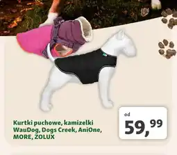 Maxi Zoo Kurtki puchowe, kamizelki WauDog oferta