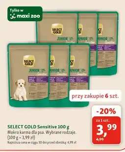 Maxi Zoo Mokra karma dla psa Select Gold Sensitive oferta