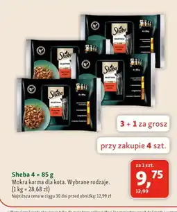 Maxi Zoo Mokra karma dla kota Sheba 4-pak oferta