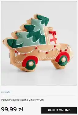 Home&You Poduszka dekoracyjna Gingerwrum home & you oferta