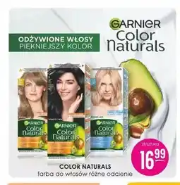 Jaśmin Farba do włosów Garnier Color Naturals oferta