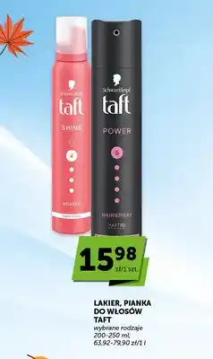 ABC Pianka do włosów Taft Shine oferta