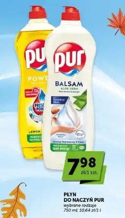 Groszek Płyn do naczyń Pur oferta