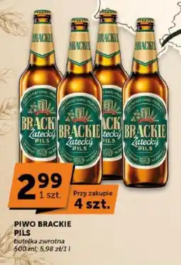 Groszek Piwo Brackie Pils oferta
