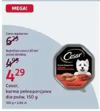 Rossmann CESAR oferta