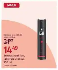 Rossmann SCHWARZKOPF TAFT oferta