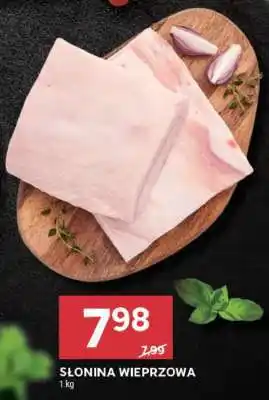 Stokrotka Market Słonina wieprzowa oferta