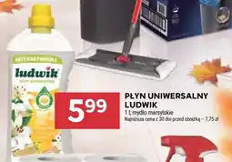 Stokrotka Market Płyn uniwersalny Ludwik oferta