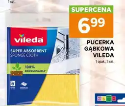 Stokrotka Market Pucerka gąbkowa Vileda oferta
