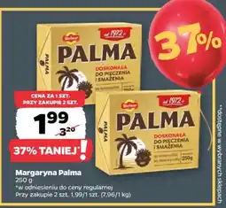 Netto MARGARYNA PALMA oferta
