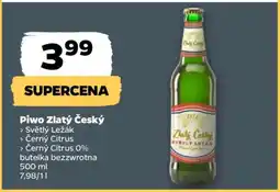 Netto Piwo Zlatý Český oferta