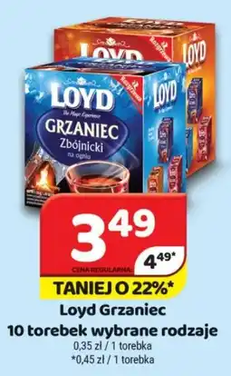 Delfin Loyd Grzaniec oferta