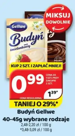 Delfin Budyń Gellwe oferta