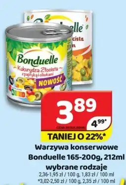Delfin Warzywa konserwowe Bonduelle oferta
