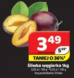 Delfin Śliwka węgierka oferta