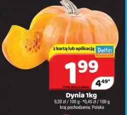 Delfin Dynia oferta