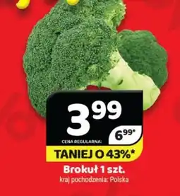 Delfin Brokuł oferta