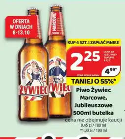 Delfin Piwo Żywiciel Marcowe oferta