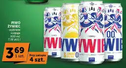 Groszek Piwo Żywiec oferta