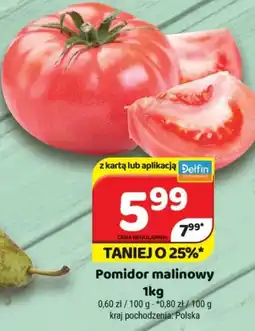 Delfin Pomidor malinowy oferta