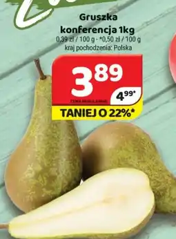 Delfin Gruszka konferencja oferta