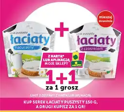 Groszek Serek Łaciaty Puszysty oferta