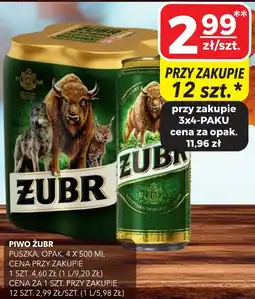 Top Market Piwo Żubr oferta