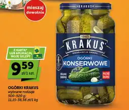 Groszek Ogórki Krakus oferta