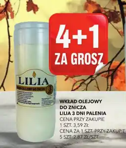 Top Market Wkład Olejowy do Znicza Lilia 3 dni palenia oferta