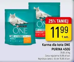 Delikatesy Piotruś Pan Karma dla kota ONE PURINA oferta