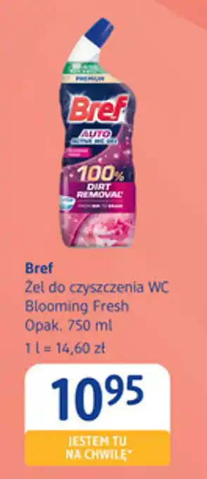 Bref Żel do czyszczenia WC Blooming Fresh