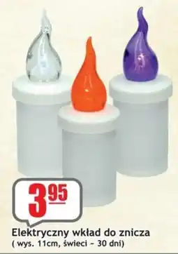 Sezamek Elektryczny wkład do znicza oferta