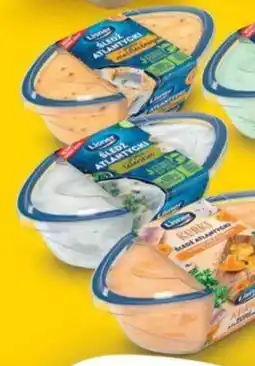 Delisso Delikatesy Lioner Śledź Atlantycki oferta
