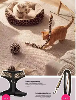 Pepco Szelki w panterkę oferta