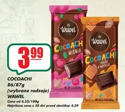 Sezamek Cocoach! Wawel oferta