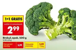 Biedronka Brokuł opak 500 g oferta