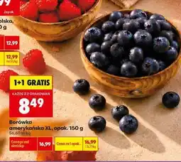 Biedronka Borówka amerykańska XL, opak. 150 g oferta