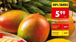 Biedronka Mango dojrzałe, szt oferta