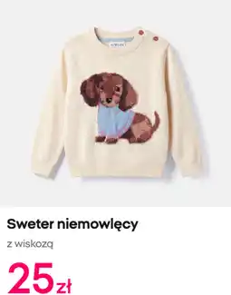 Pepco Sweter niemowlęcy z wiskozą oferta