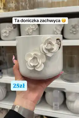 Pepco Doniczka ozdobna z trójwymiarowymi kwiatami oferta