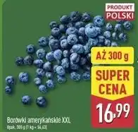 ALDI Borówki amerykańskie XXL oferta